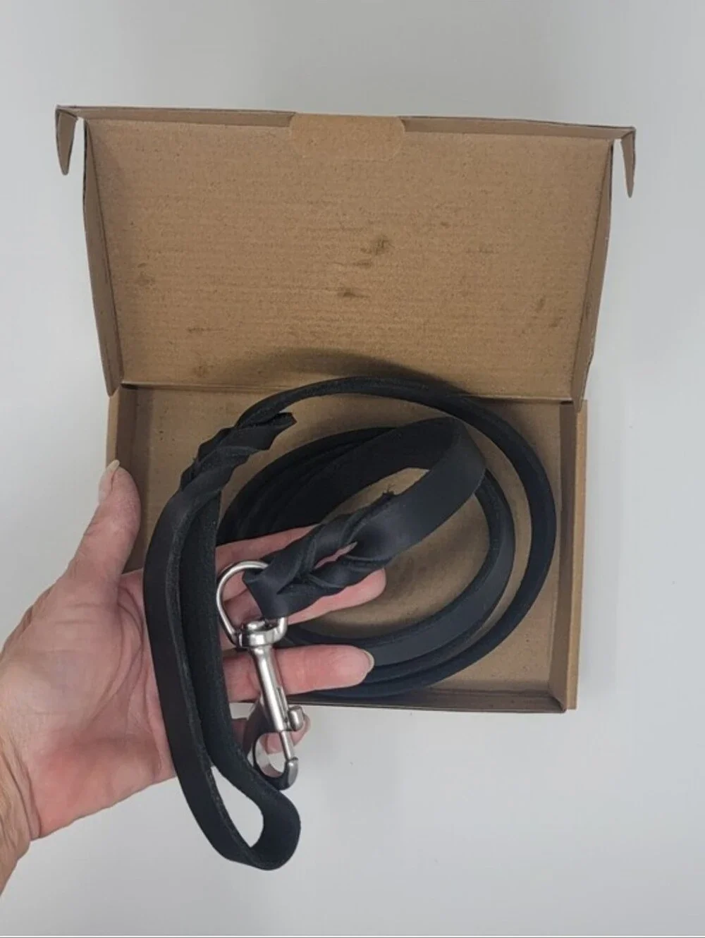 🆕️ Guiding Star Leather Dog Leash 6ft in Black